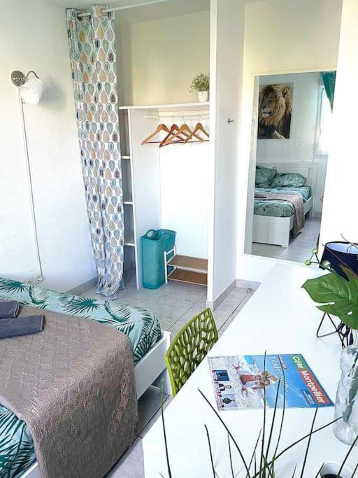 Appt Lumineux, Piscine, Wifi Appartement Montpellier Buitenkant foto